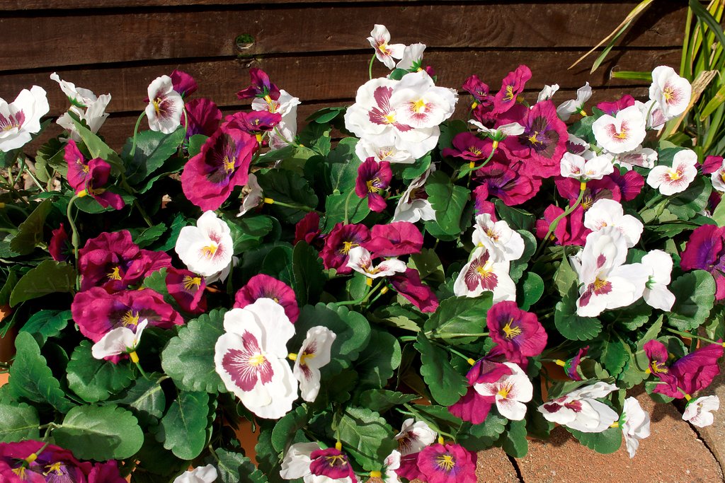 Best Artificial 30cm Pansy Plug Plant - Pot Not Included