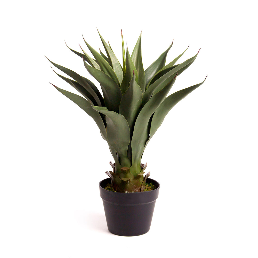 Best Artificial 3ft - 80cm Aloe Vera Plant - front view
