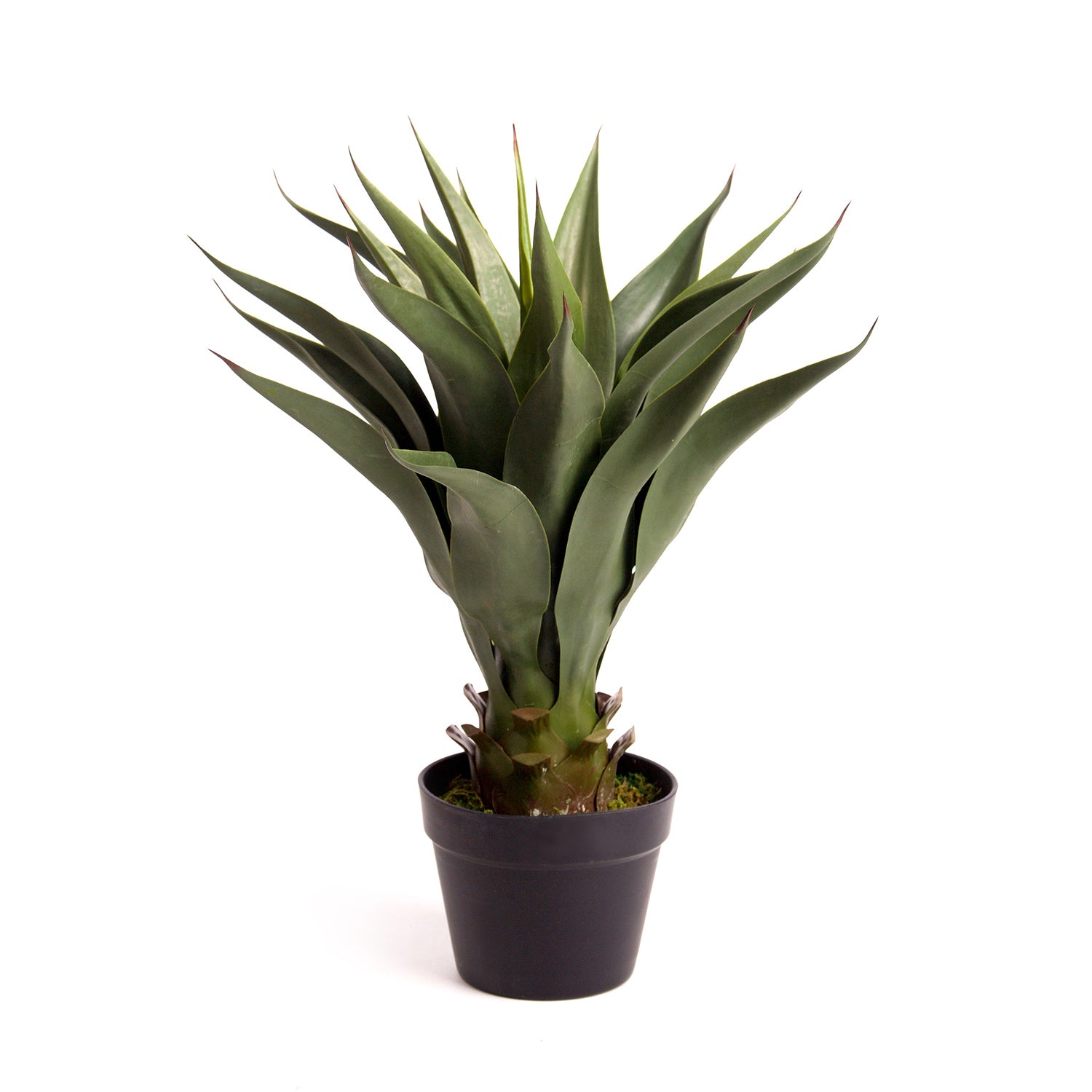 Best Artificial 3ft - 80cm Aloe Vera Plant