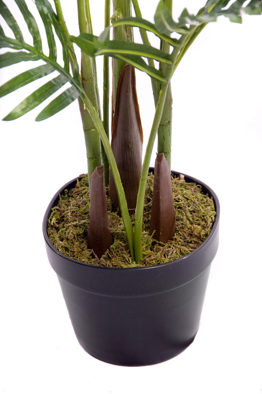 Best Artificial Areca Palm Tree