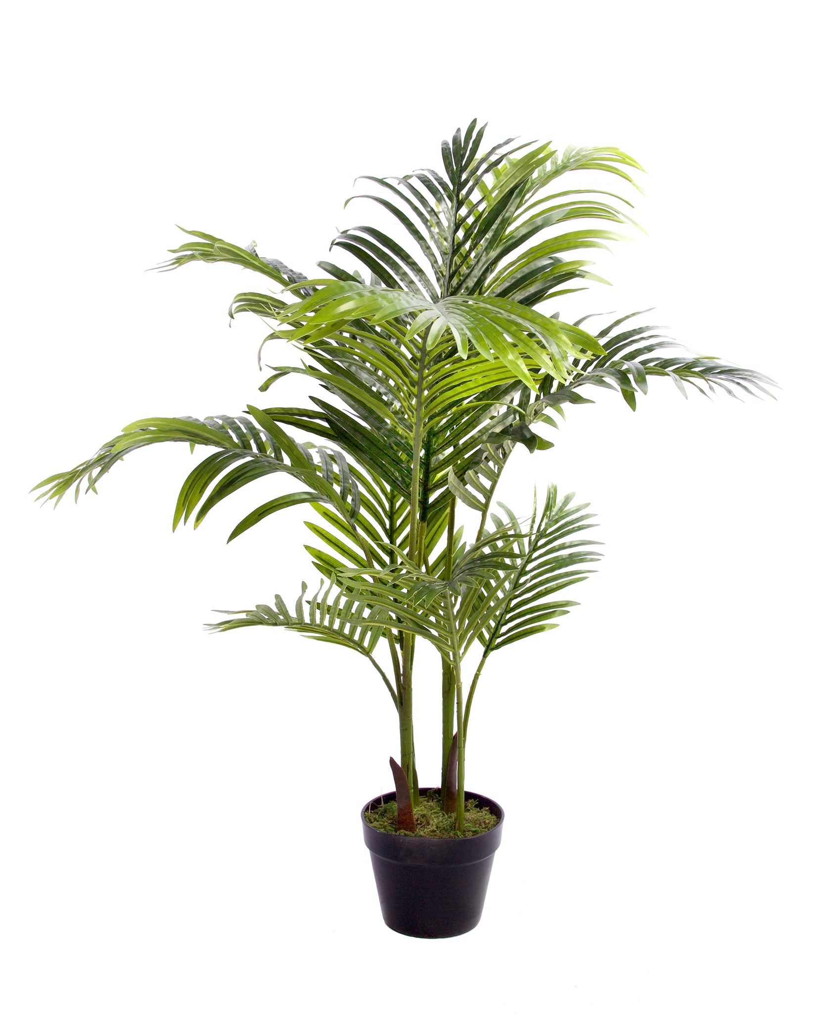 Best Artificial Areca Palm Tree