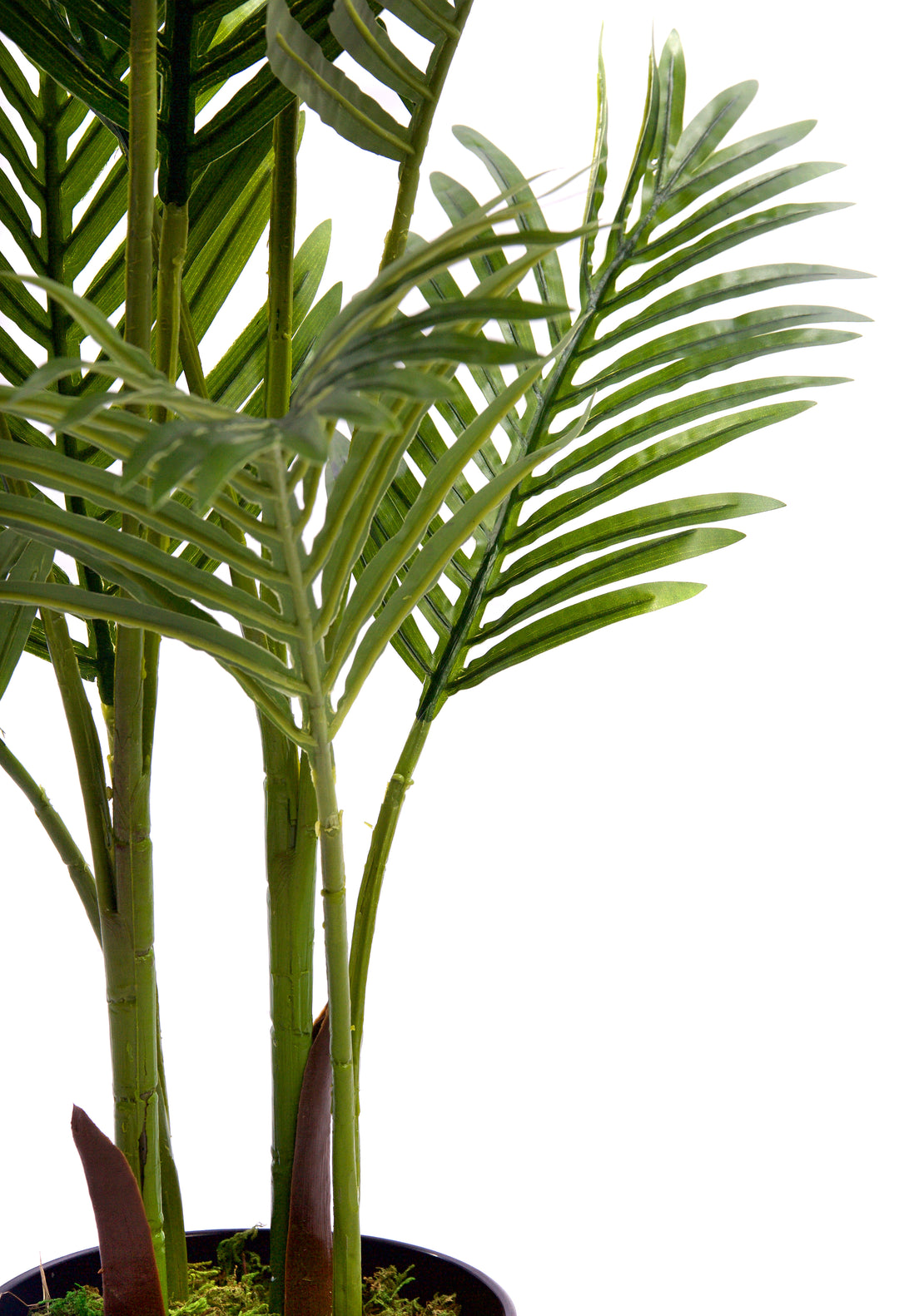 Best Artificial Areca Palm Tree