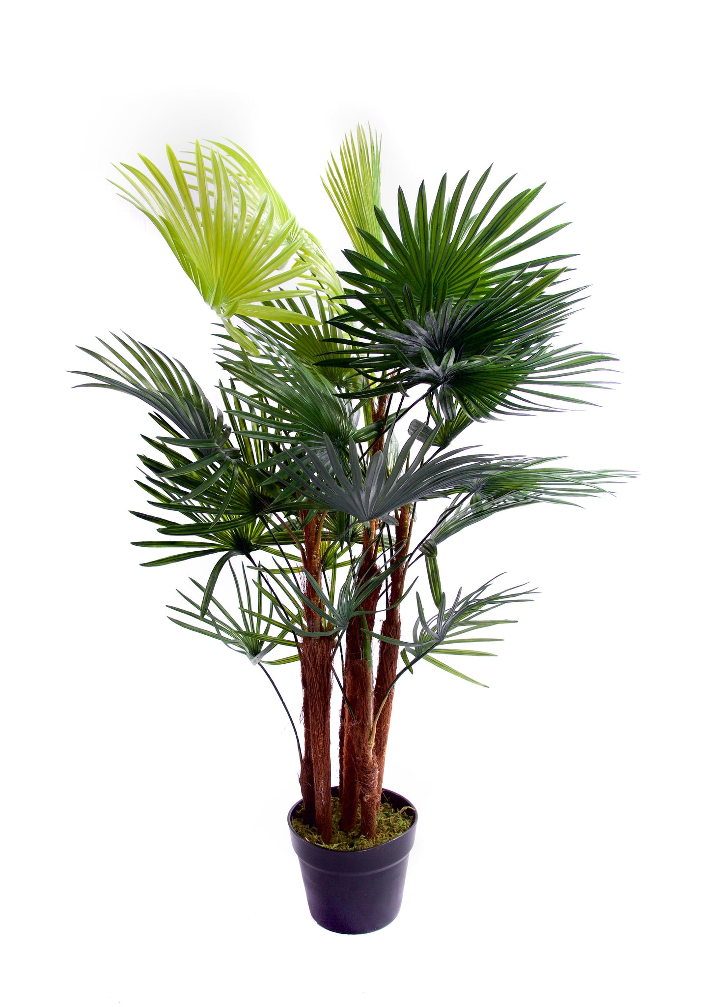 Best Artificial Spider Finger Palm Tree