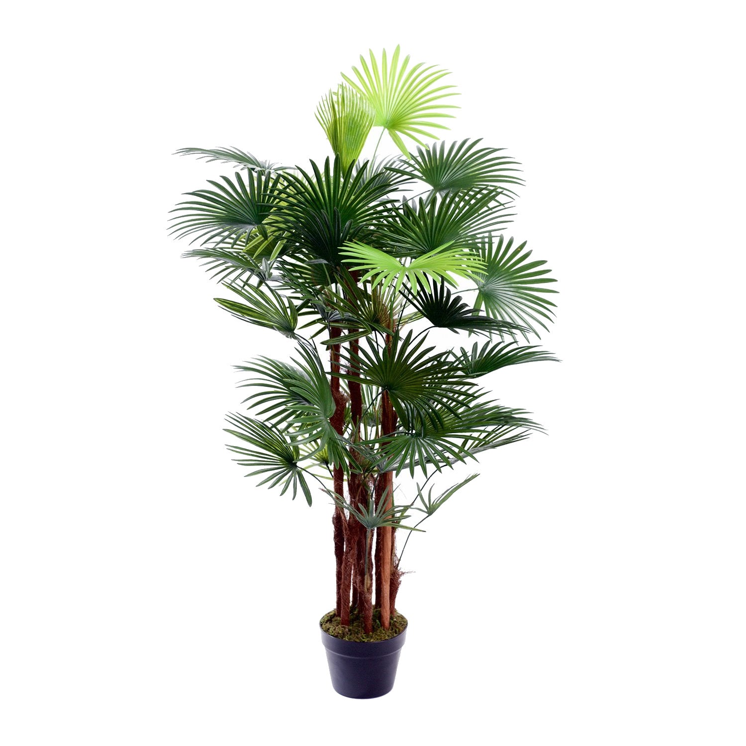 Best Artificial 4ft - 120cm Spider Finger Palm Tree