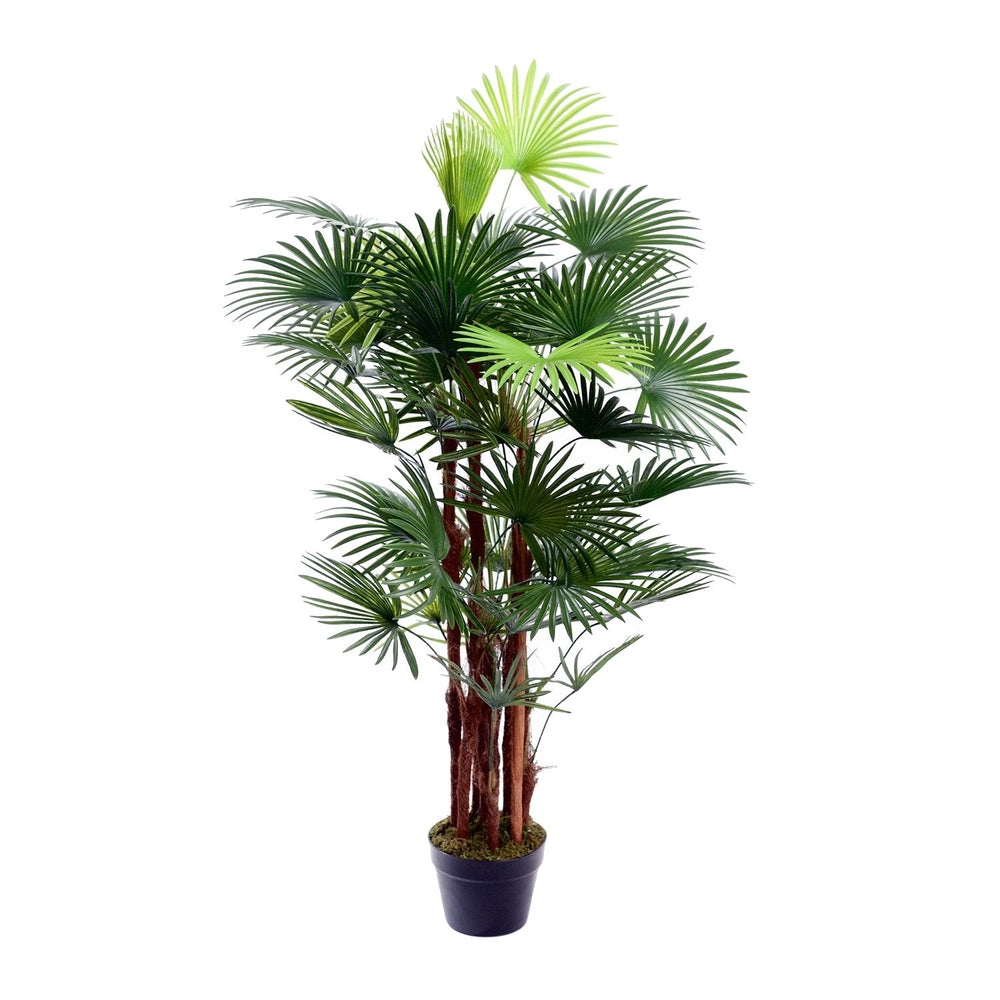Best Artificial Spider Finger Palm Tree - front view