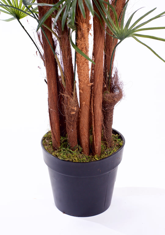 Best Artificial Spider Finger Palm Tree