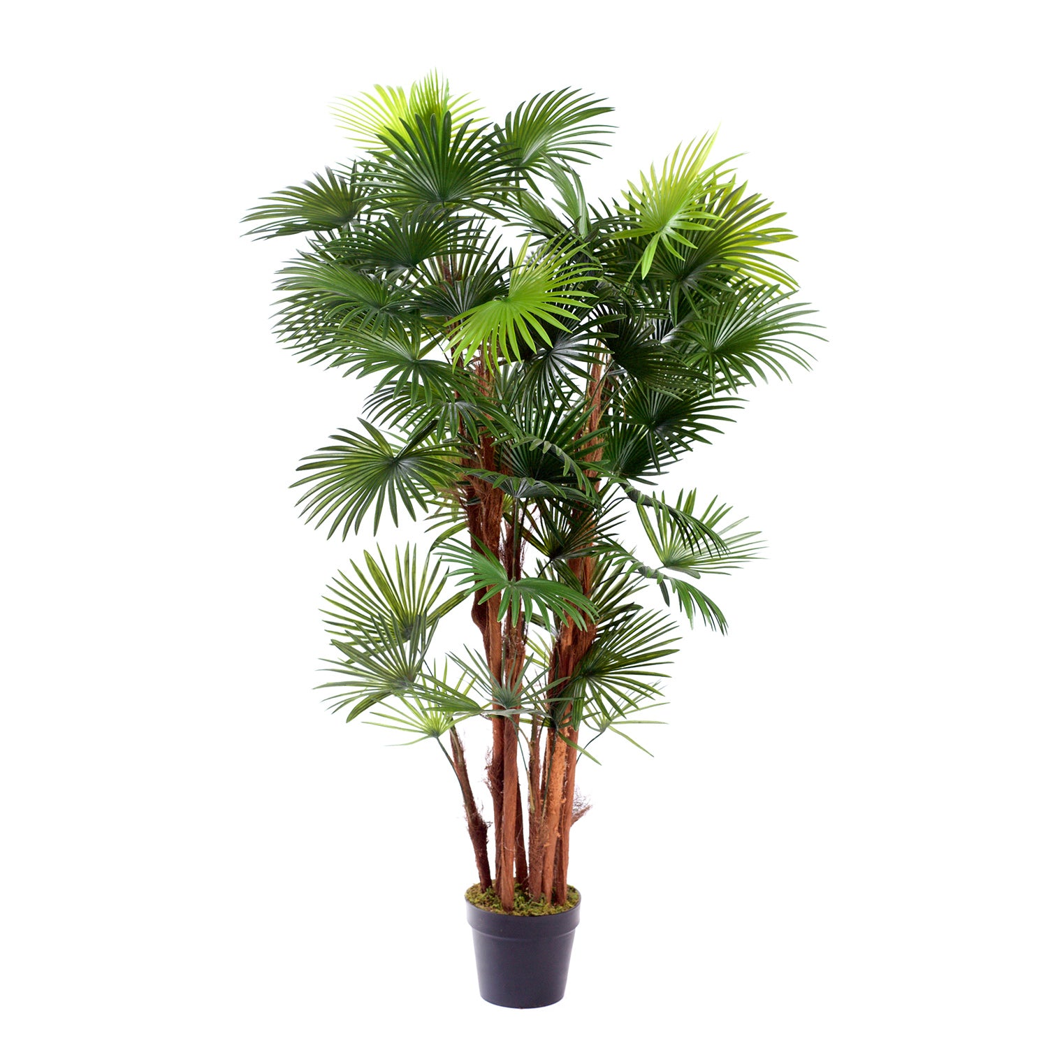 Best Artificial 5ft - 150cm Spider Finger Palm Tree