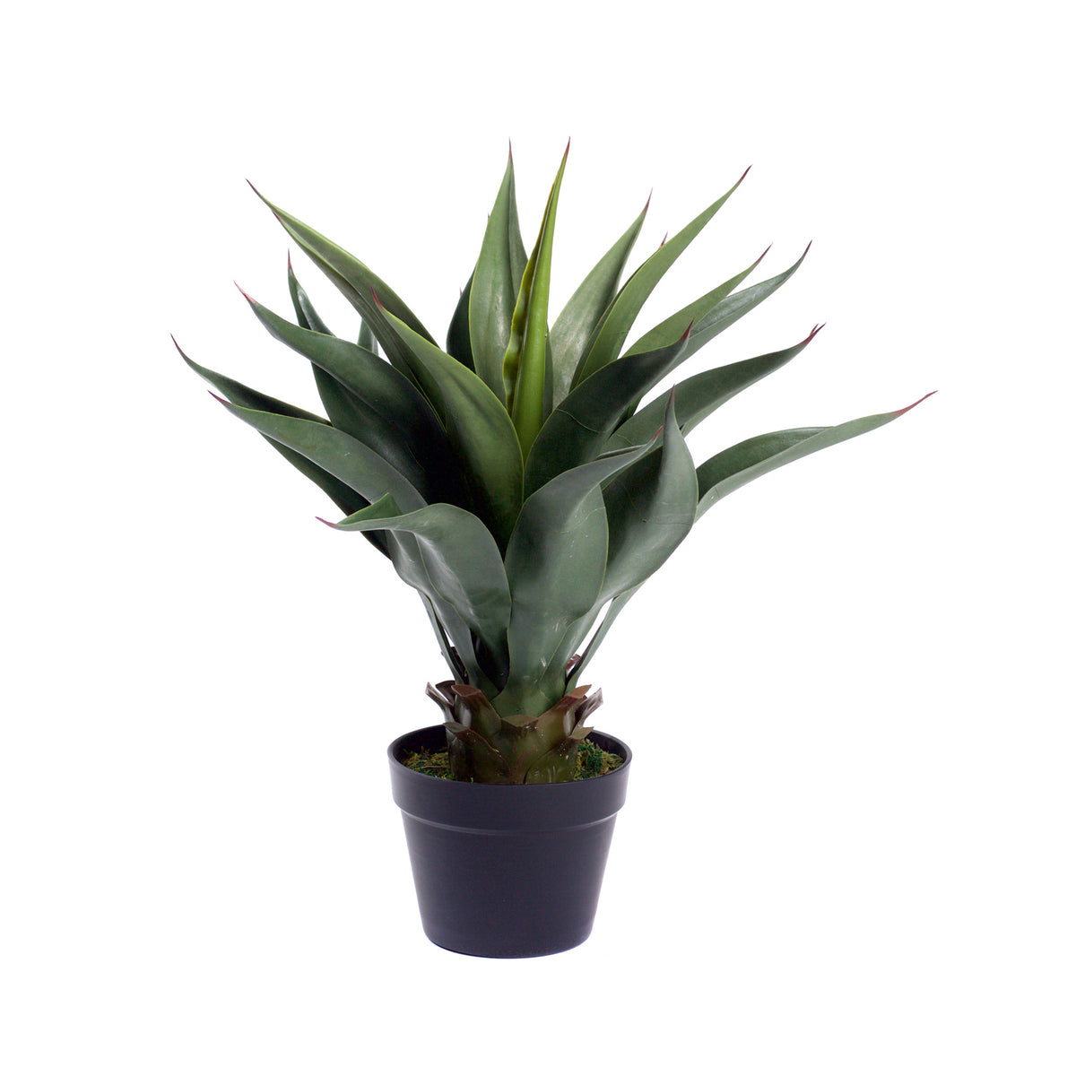 Best Artificial 2ft 60cm Aloe Vera Plant Indoor Outdoor Office