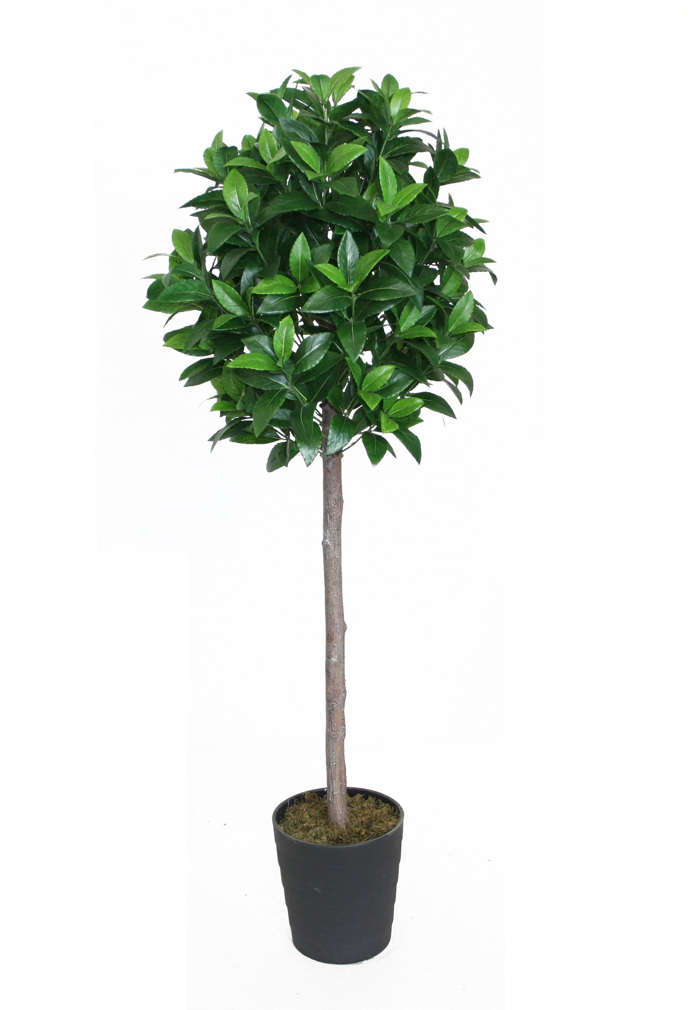 Best Artificial 4ft - 120cm Bay Tree
