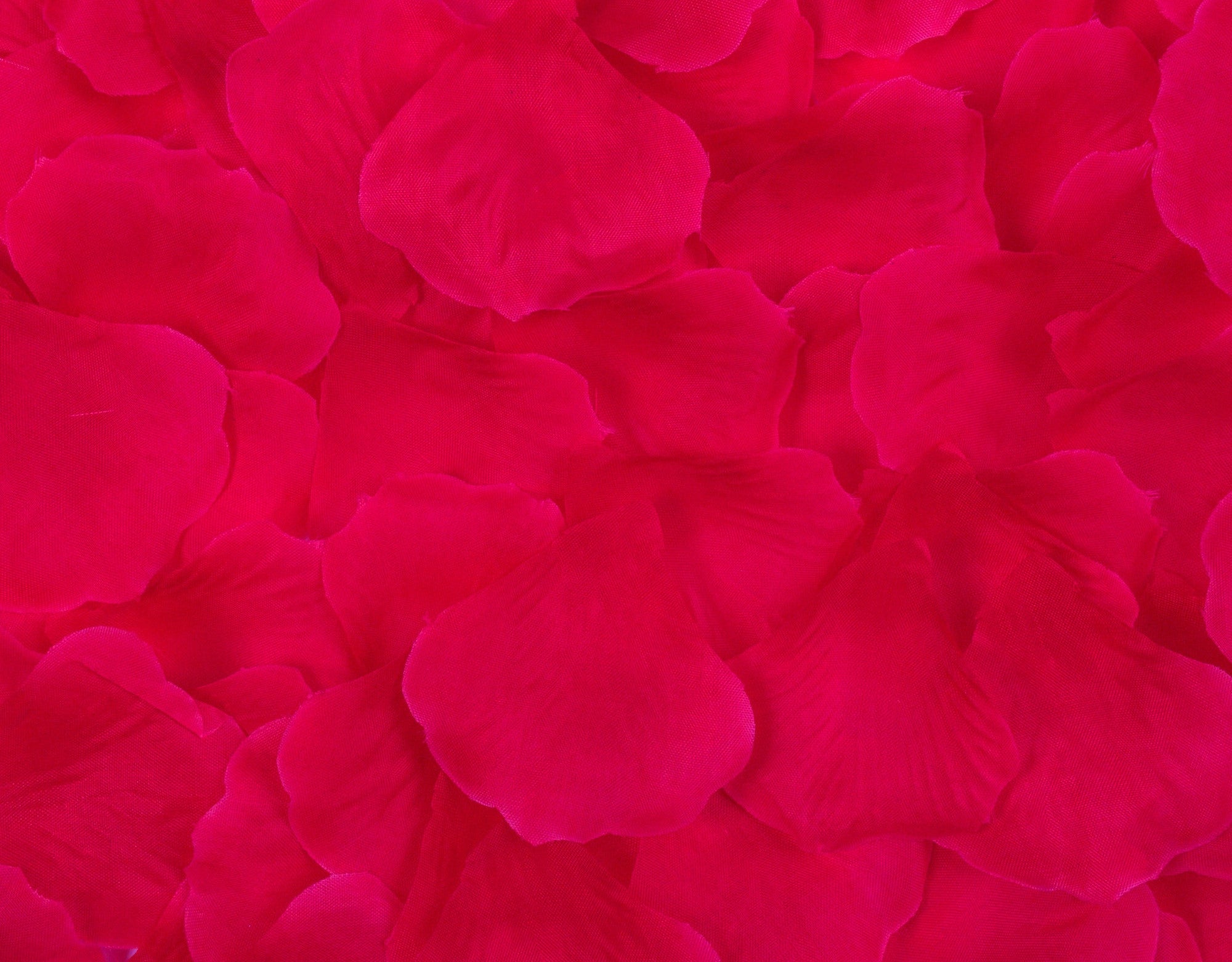 Best Artificial Silk Rose Petals