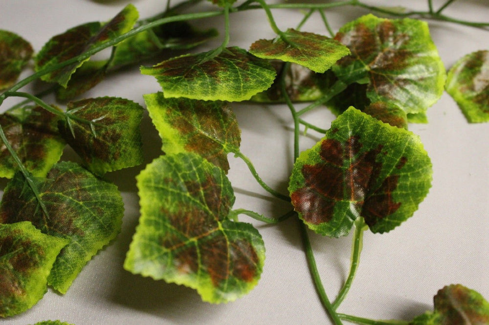 Best Artificial 7ft - 210cm Autumn Ivy Garland - IL05