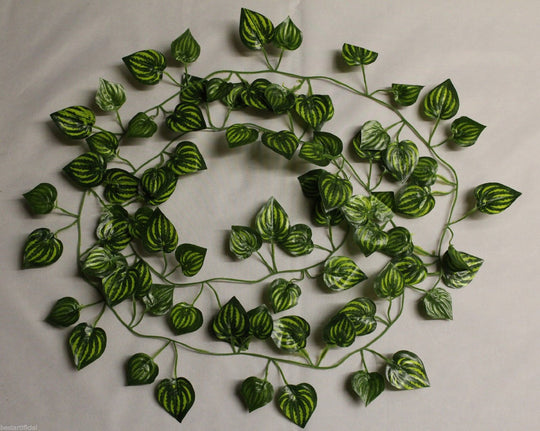 Best Artificial 7ft - 210cm Watermelon Ivy Garland - IL06