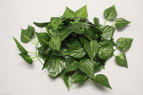 Best Artificial 7ft - 210cm Rohdea Ivy Garland - IL10