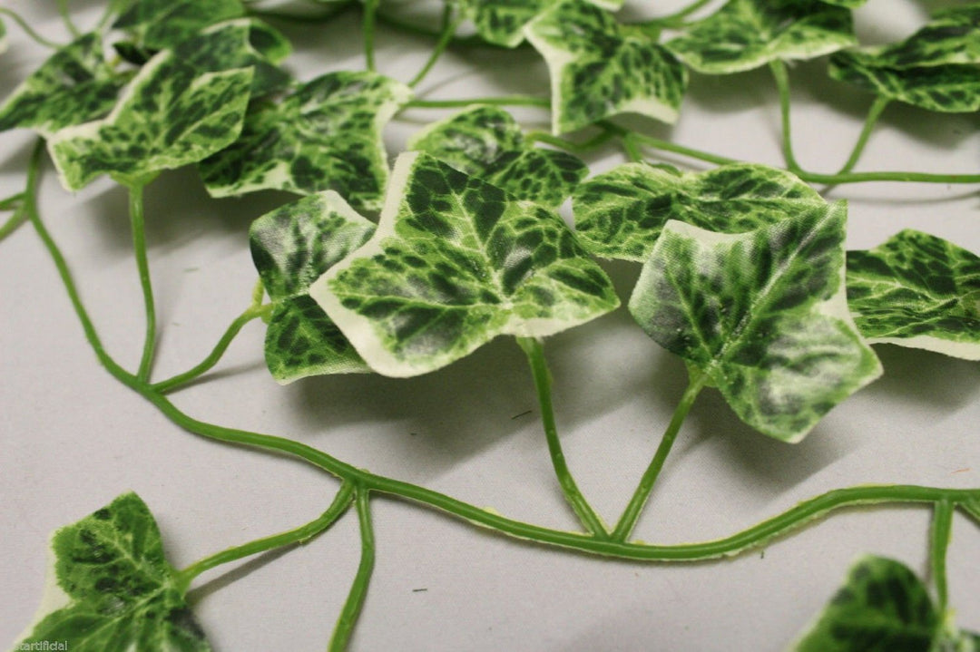 Best Artificial 7ft - 210cm Variegated Grape Ivy Garland - IL01