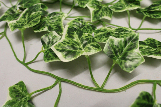 Best Artificial 7ft - 210cm Variegated Grape Ivy Garland - IL01
