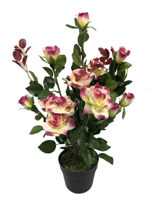 Best Artificial 2ft - 65cm Rose Plant