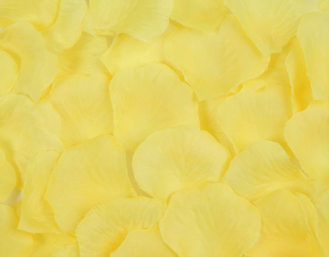 Best Artificial Silk Rose Petals
