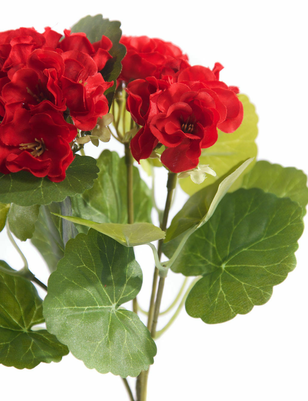 Best Artificial 24cm Geranium Plug Plant - Pot NOT Included