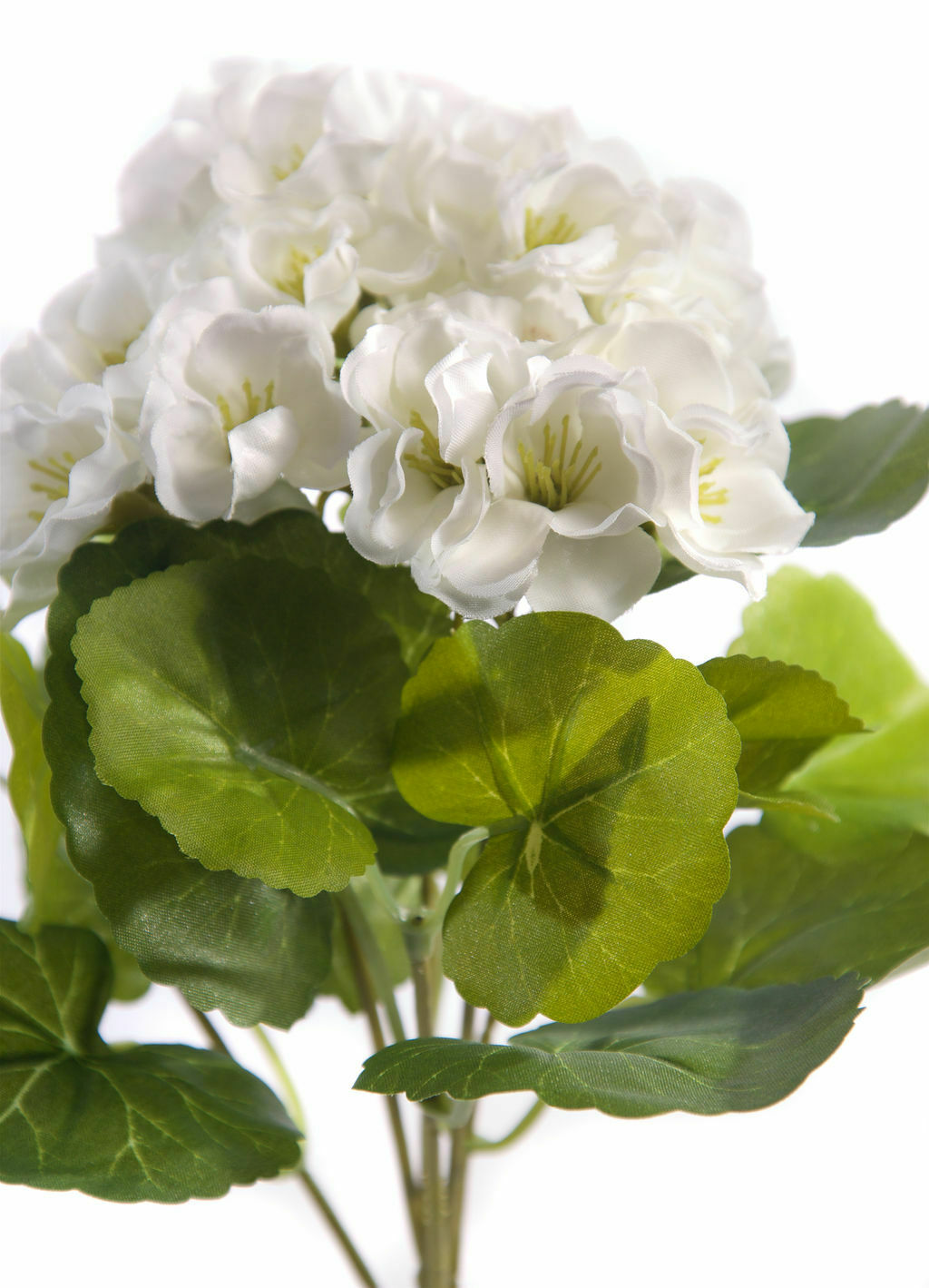 Best Artificial 24cm Geranium Plug Plant - Pot NOT Included