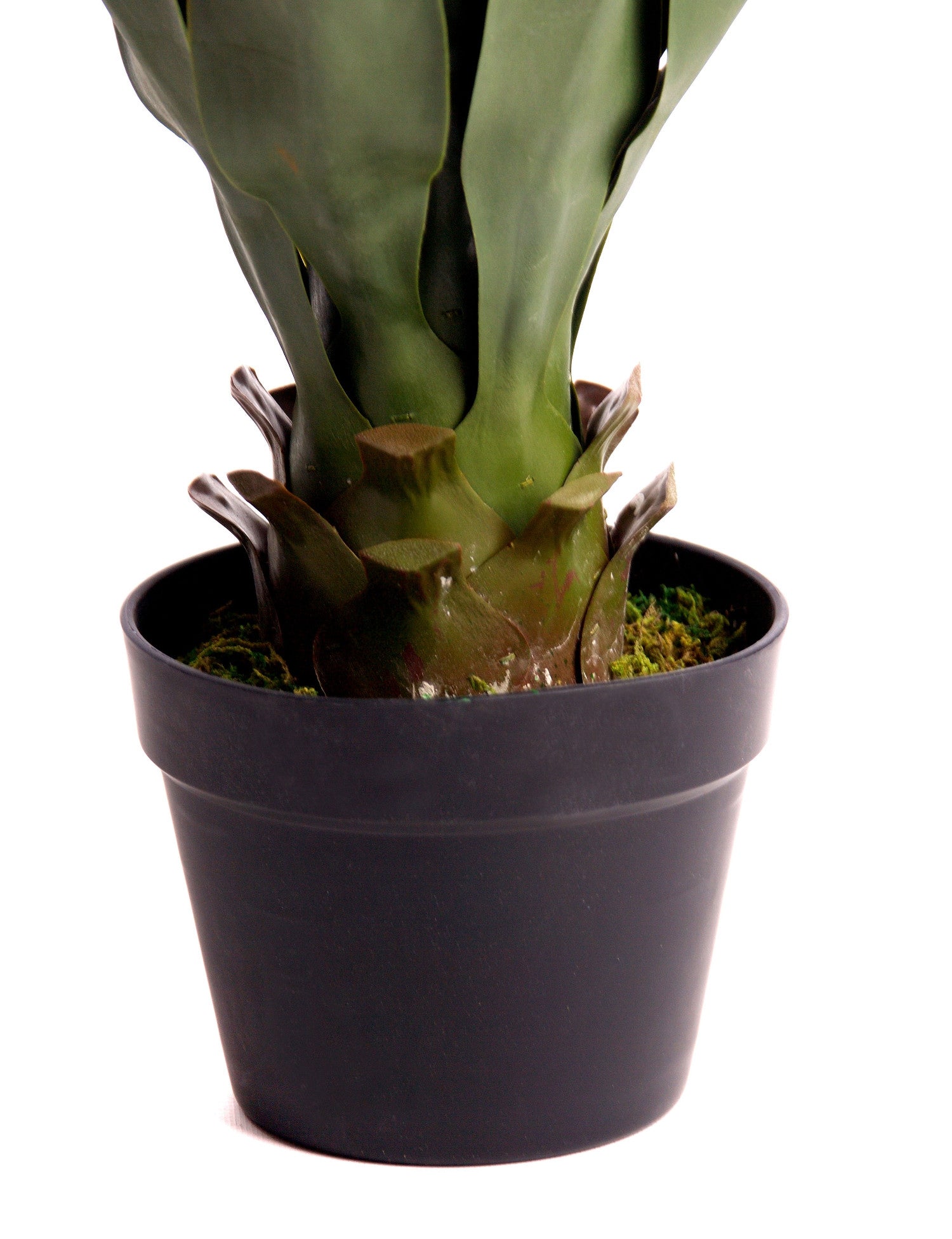 Best Artificial 3ft - 80cm Aloe Vera Plant