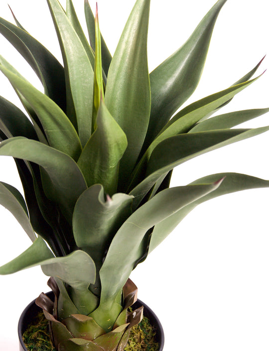 Best Artificial 3ft - 80cm Aloe Vera Plant