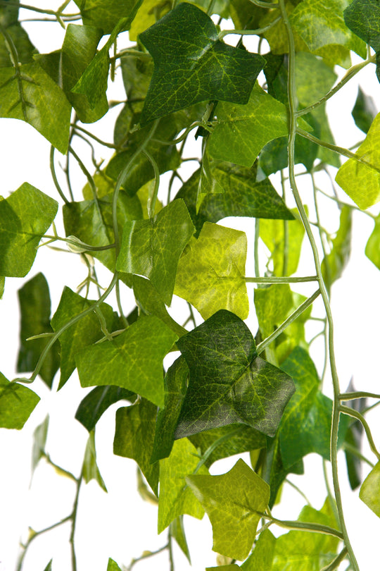 Best Artificial 100cm English Trailing Ivy Garland - TI03