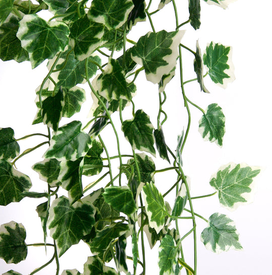 Best Artificial 100cm Variegated Grape Trailing Ivy Garland - TI01