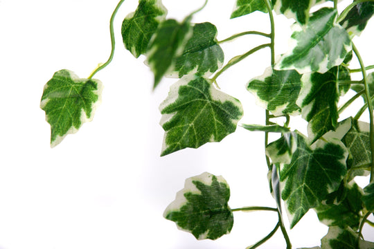 Best Artificial 100cm Variegated Grape Trailing Ivy Garland - TI01