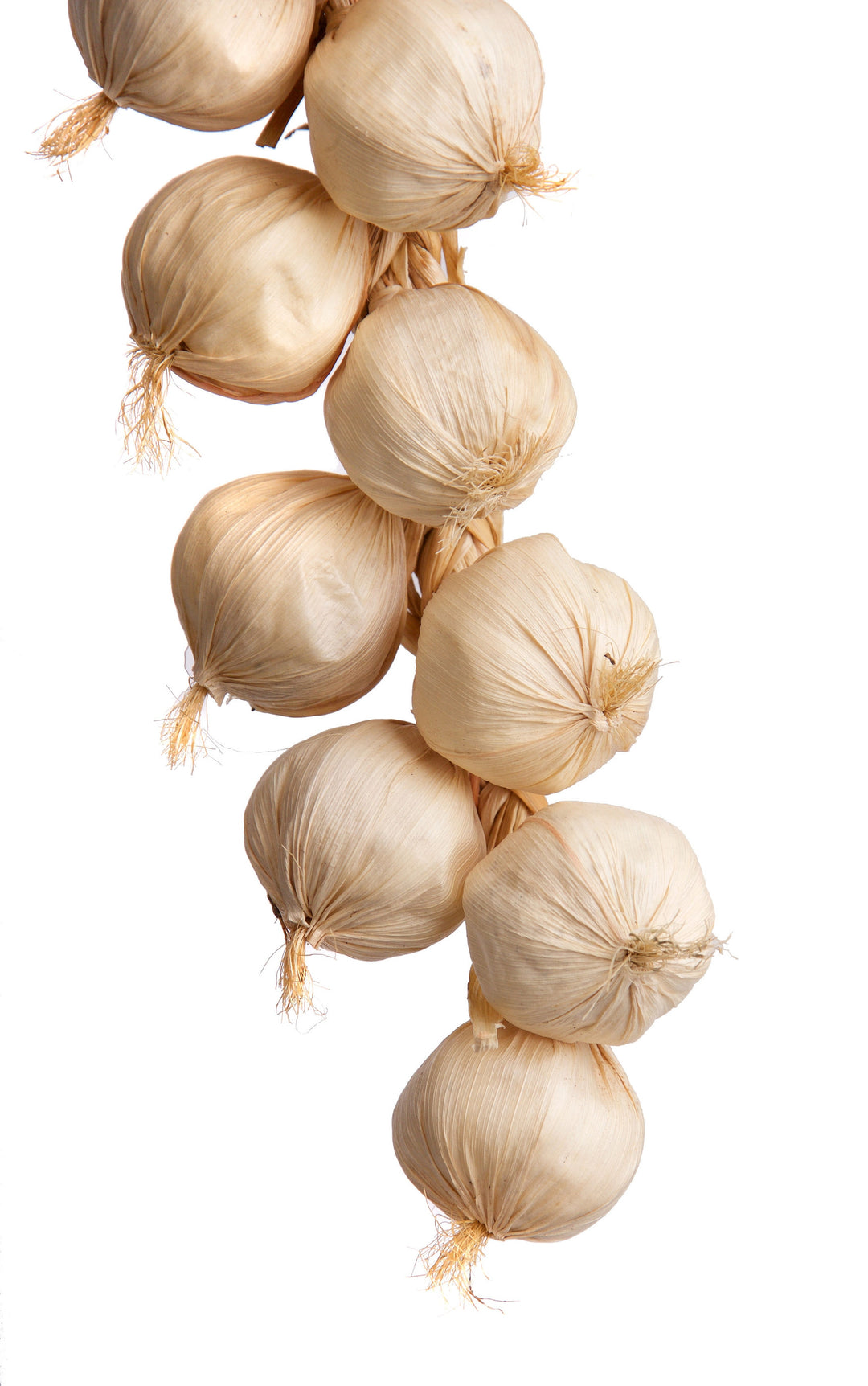 Large Best Artificial Garlic String 63cm 18 garlics