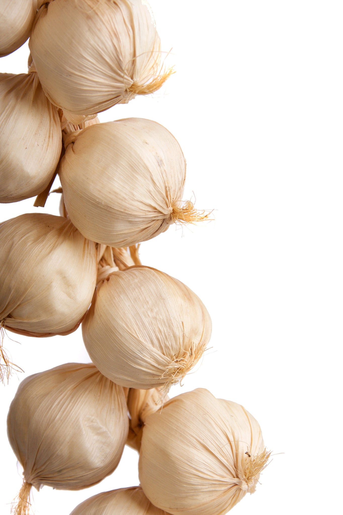 Large Best Artificial Garlic String 63cm 18 garlics