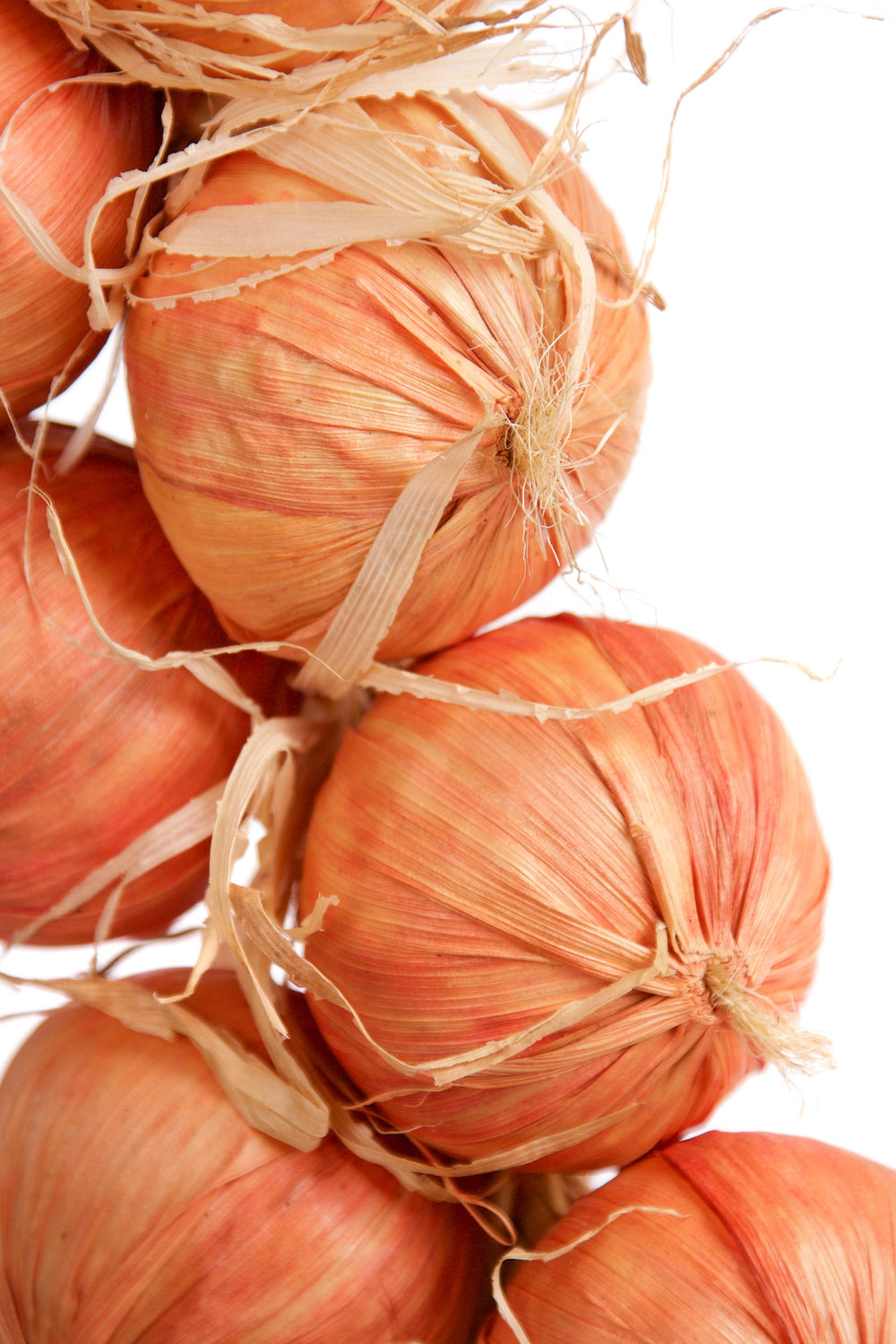 Large Best Artificial Onion String 80cm 18 onions
