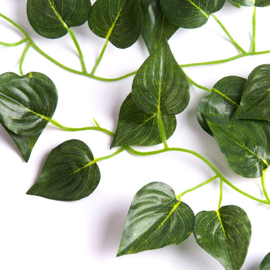 Best Artificial 7ft - 210cm Rohdea Ivy Garland - IL10