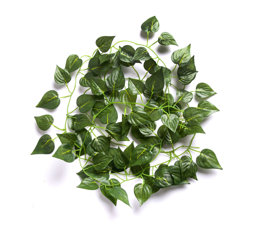 Best Artificial 7ft - 210cm Rohdea Ivy Garland - IL10