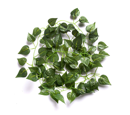 Best Artificial 7ft - 210cm Rohdea Ivy Garland - IL10