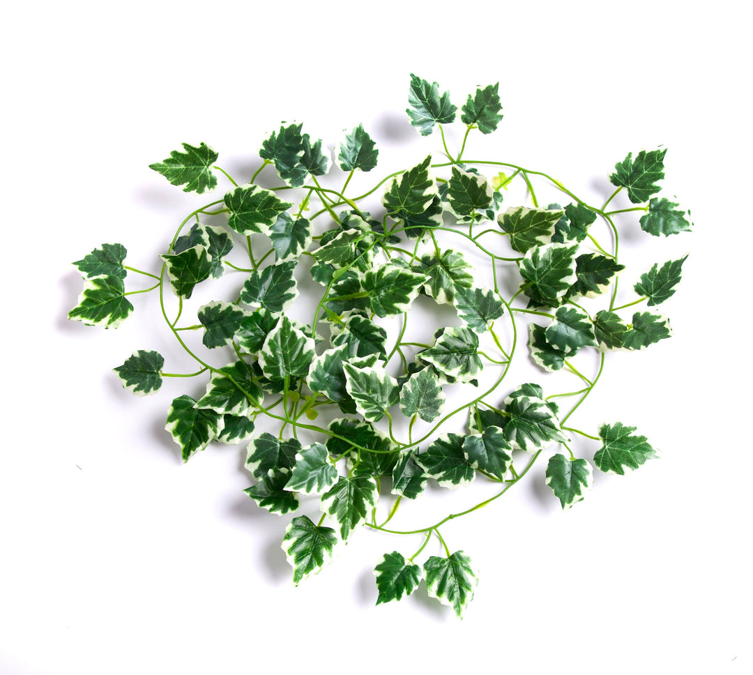 Best Artificial 7ft - 210cm Variegated Grape Ivy Garland - IL01
