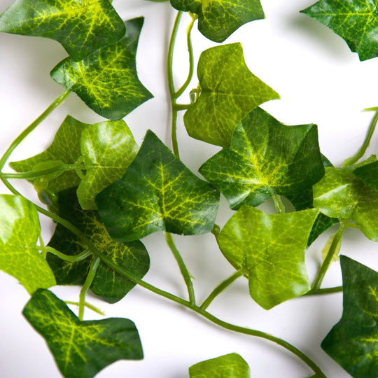 Best Artificial 7ft - 210cm English Ivy Garland - IL03