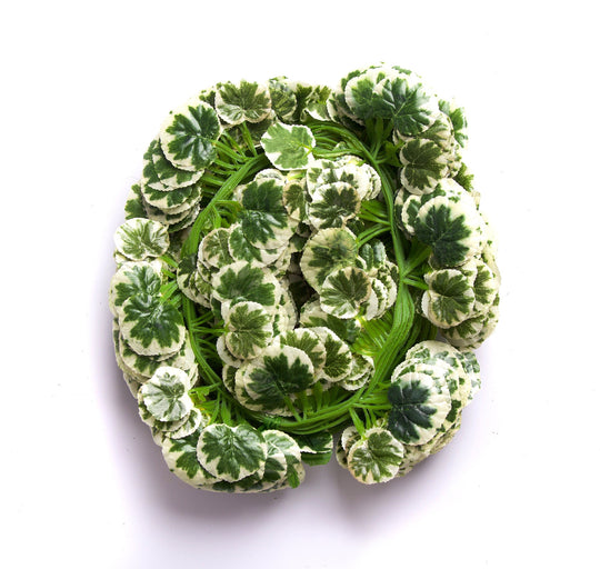 Best Artificial 7ft - 210cm Variegated Crab-Apple Ivy Garland - IL04