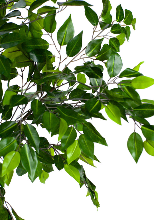 Best Artificial 4ft - 120cm Deluxe Ficus Tree