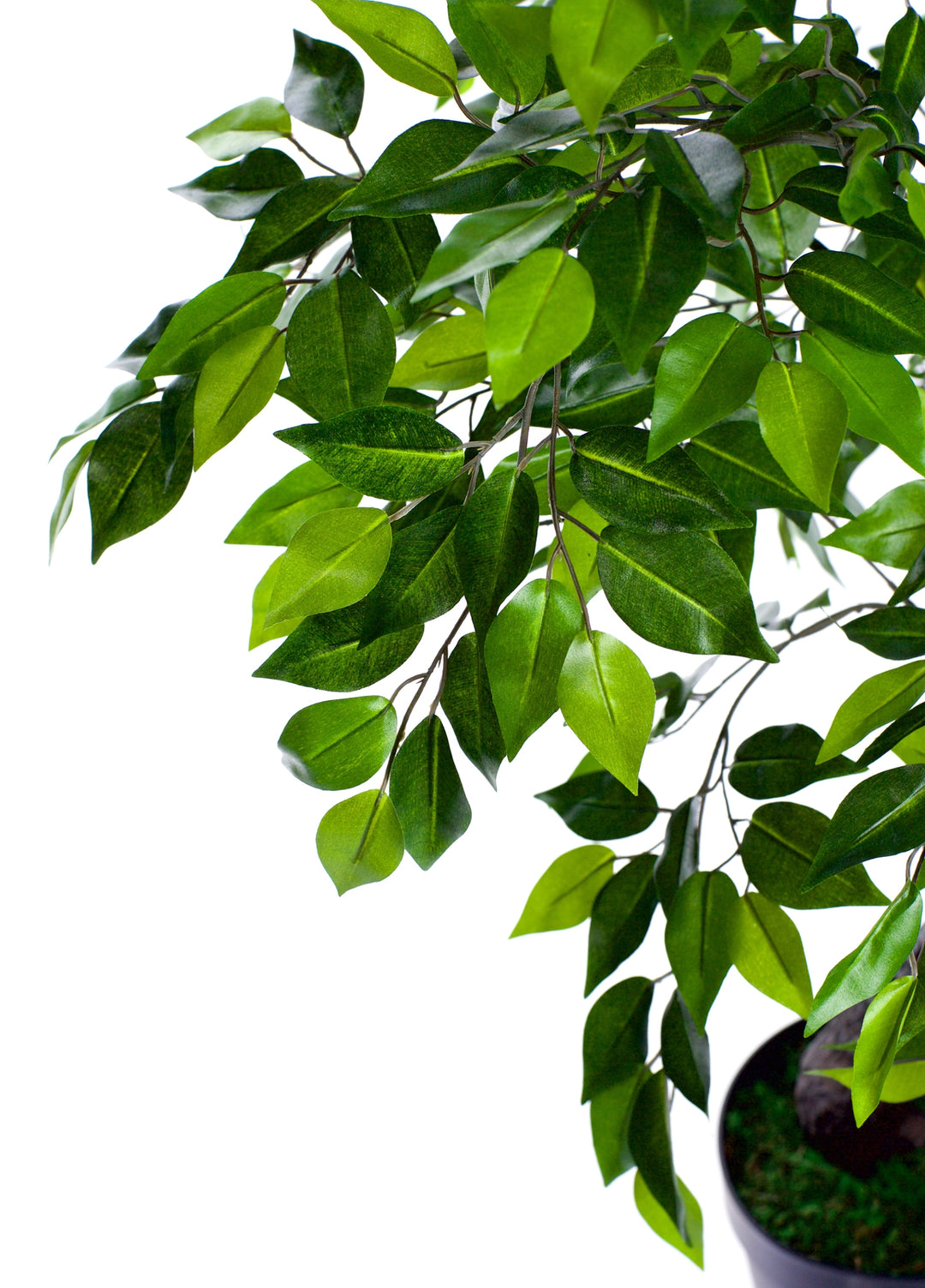 Best Artificial 4ft - 120cm Deluxe Ficus Tree