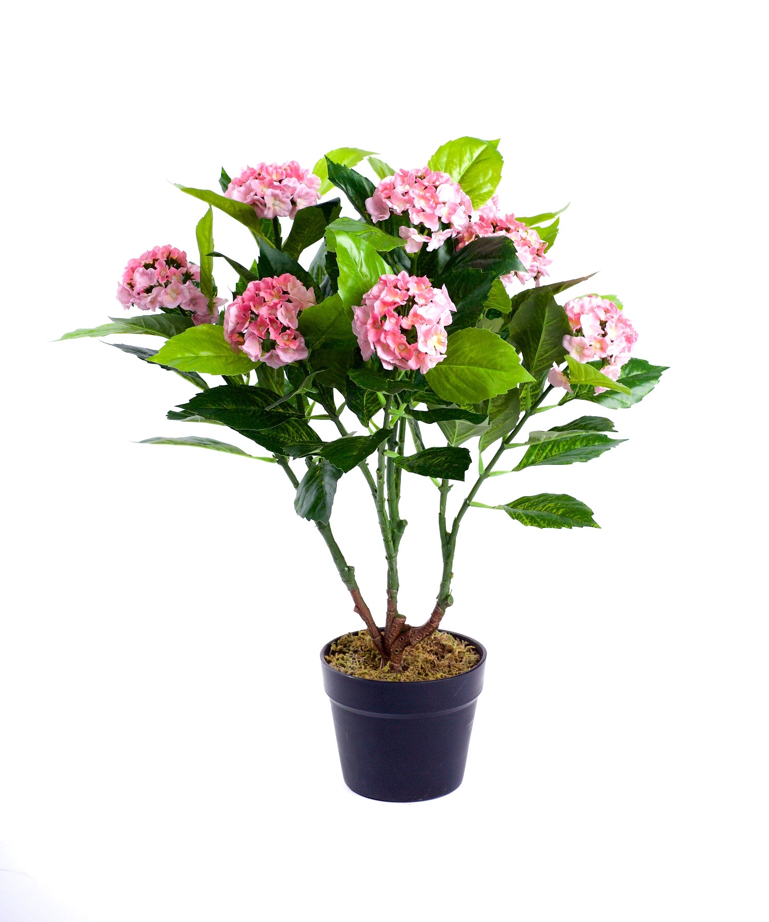 Best Artificial 2ft - 65cm Hydrangea Plant
