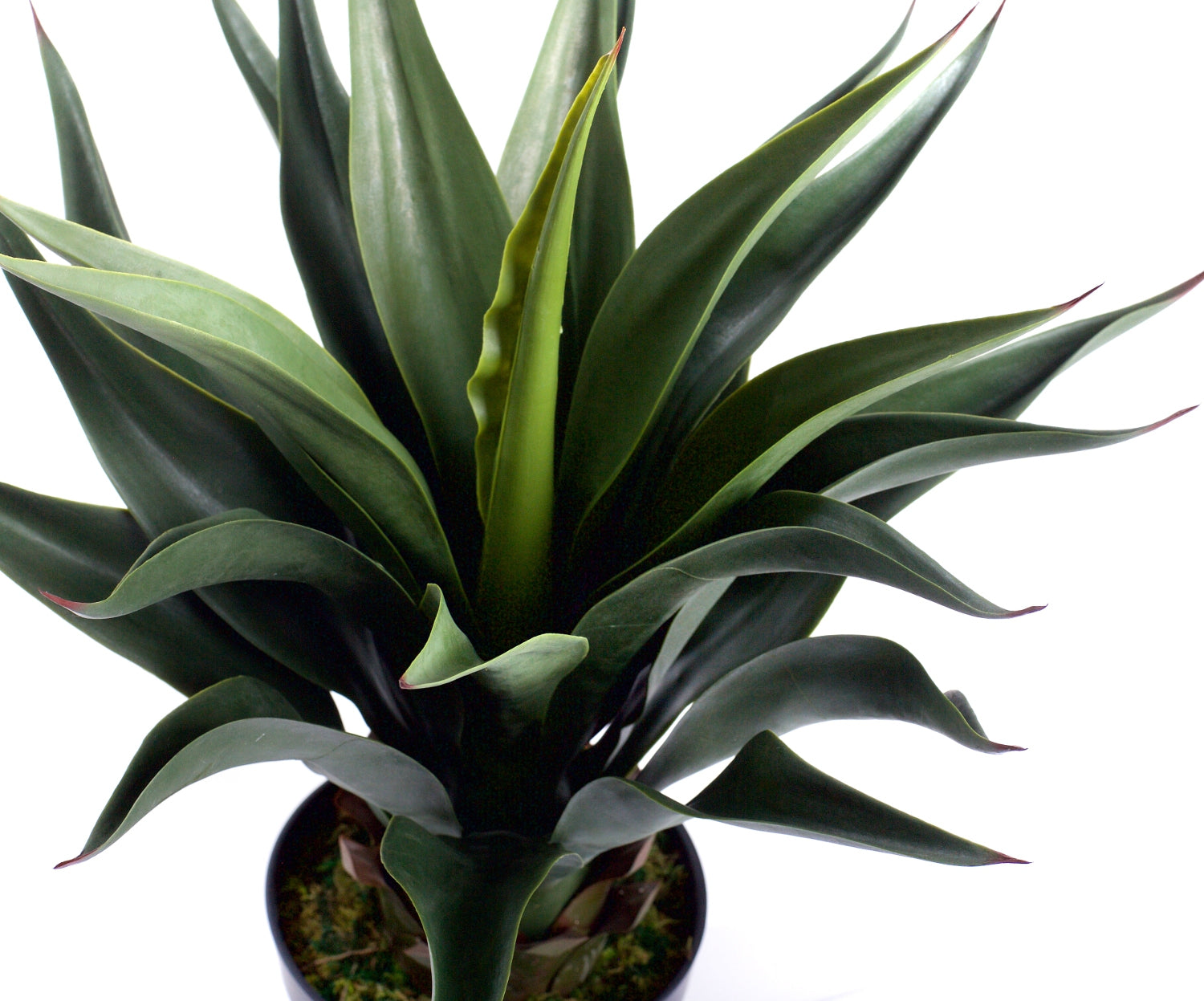Best Artificial 2ft - 60cm Aloe Vera Plant