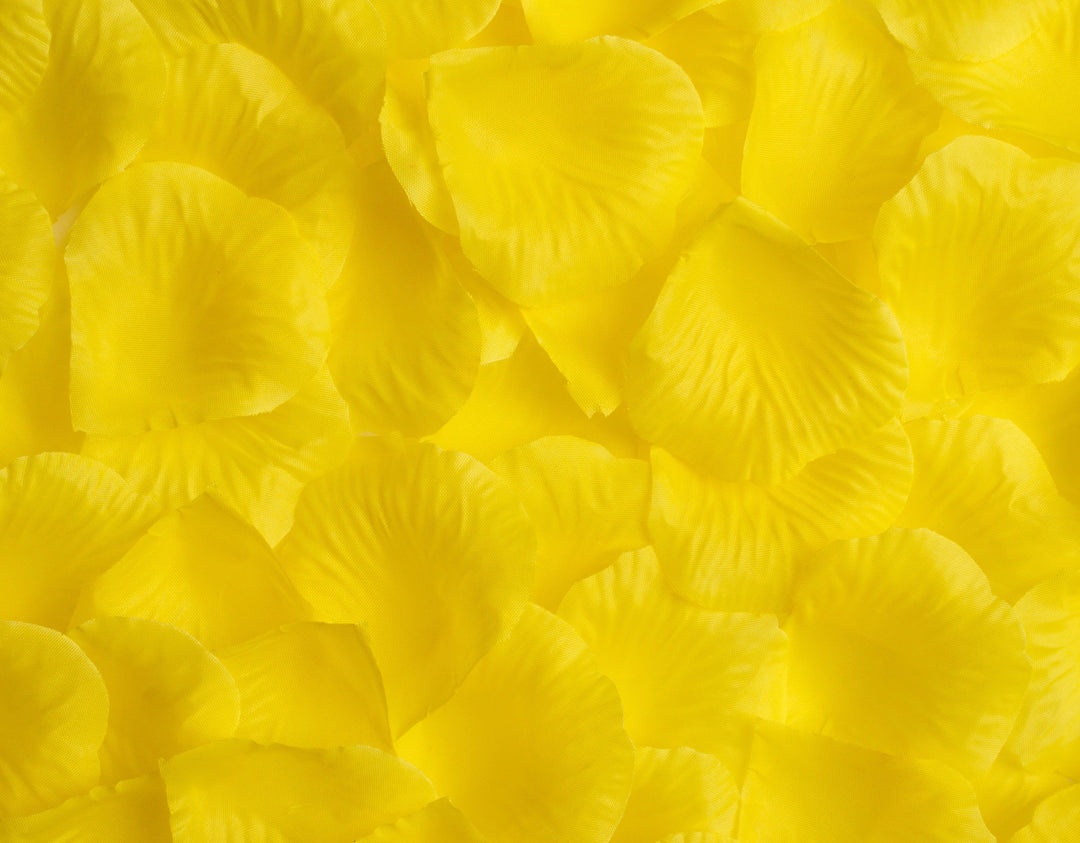 Best Artificial Silk Rose Petals
