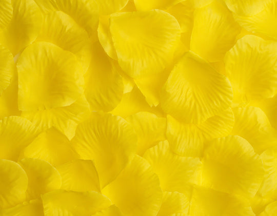 Best Artificial Silk Rose Petals