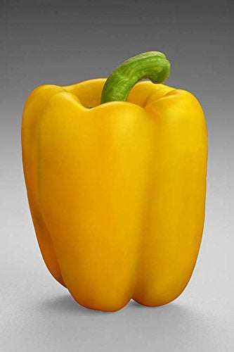 10cm Best Artificial Weighted Bell Peppers