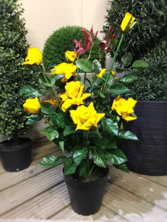 Best Artificial 2ft - 65cm Rose Plant